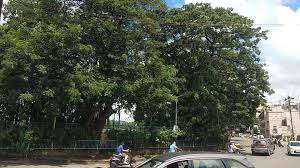 download 2026 01 27t124835.536